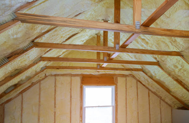 Best Eco-Friendly Insulation in Schuylkill Haven, PA