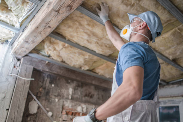 Best Specialized Insulation Services in Schuylkill Haven, PA